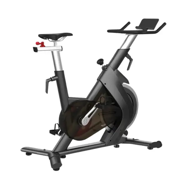 Bicicleta Spinning Phoenix Sportfitness