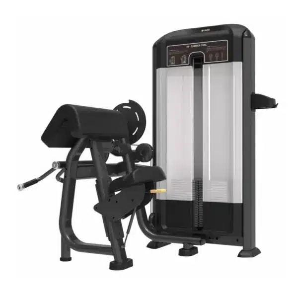 Flexión de Brazo Focus Evolution Profesional